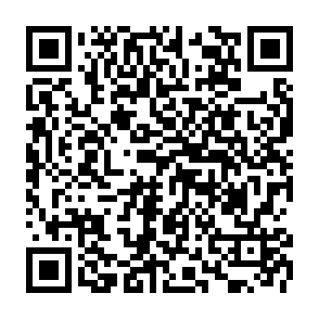 Ultimate information stealer kod QR