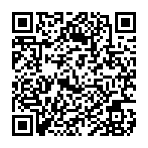 Reklamy od vantanetworktin.com kod QR