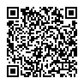 Vect virus kod QR