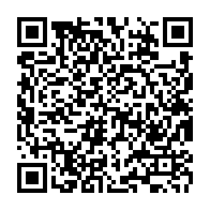 Wirus Vile kod QR
