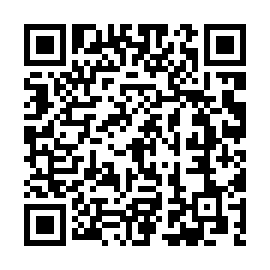 VVS złodziej informacji kod QR