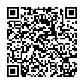 WormLocker virus kod QR