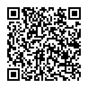 xAI Token Launch oszustwo internetowe kod QR