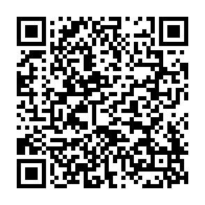 wirus ZAWOOO kod QR