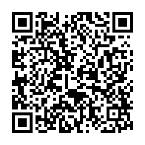 Zeo virus kod QR