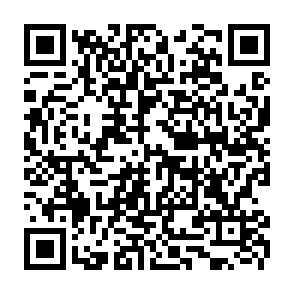 Zollo virus kod QR