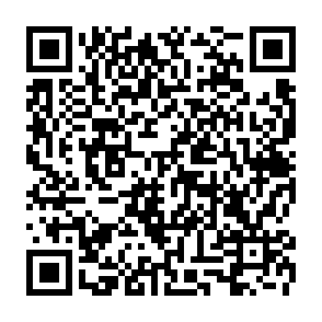 ZynorRAT virus kod QR