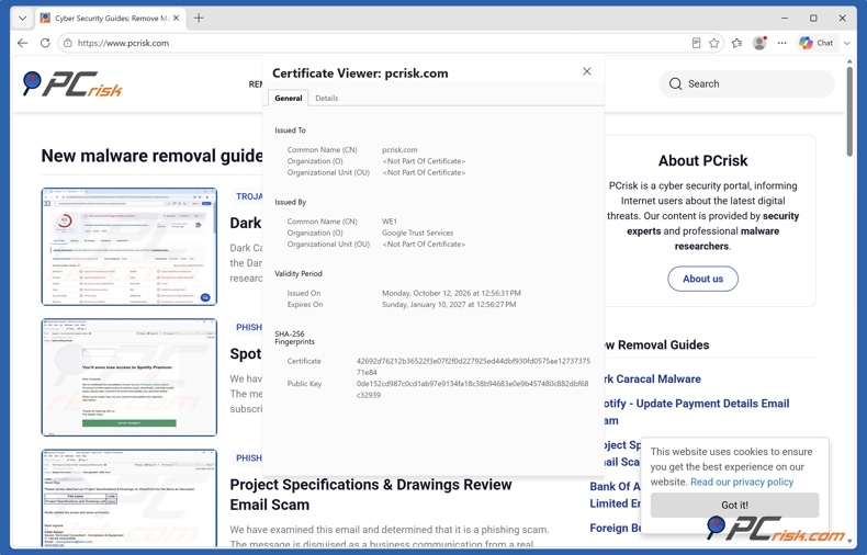 Szczegóły certyfikatu SSL w Microsoft Edge