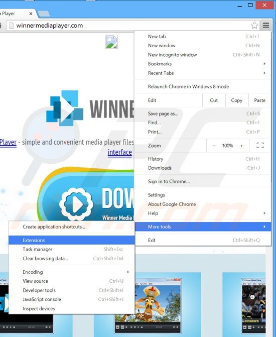 Usuwanie reklam Winner Media Player z Google Chrome krok 1