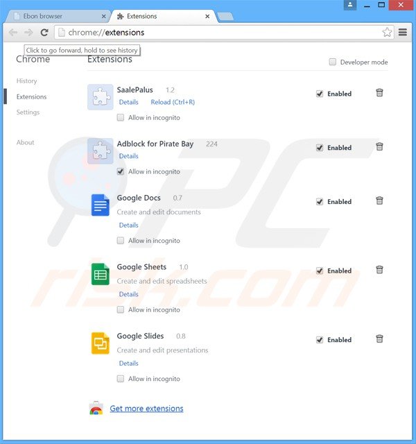 Removing ebon browser related plugins from Google Chrome step 2