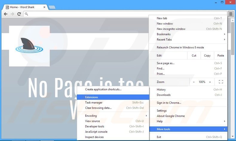 Removing Word Shark ads from Google Chrome step 1