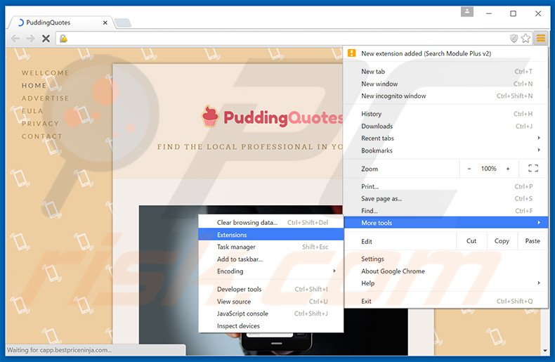 Removing PuddingQuotes  ads from Google Chrome step 1