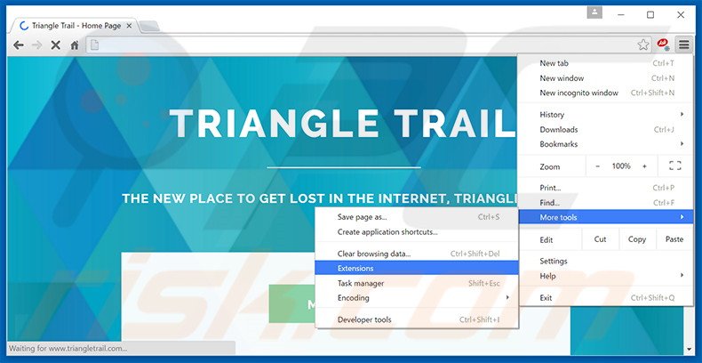 Removing Triangle Trail  ads from Google Chrome step 1