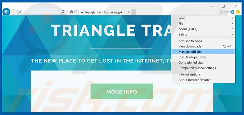 Removing Triangle Trail ads from Internet Explorer step 1