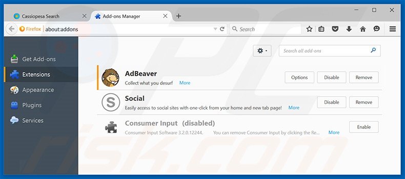 Removing AdBeaver ads from Mozilla Firefox step 2