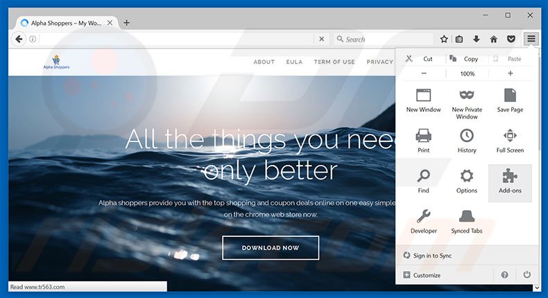 Removing Alpha Shoppers ads from Mozilla Firefox step 1