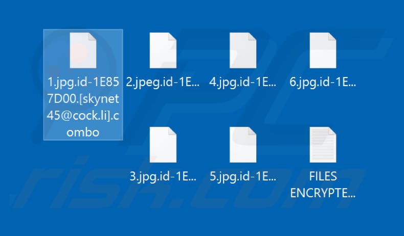 Pliki zaszyfrowane przez Combo