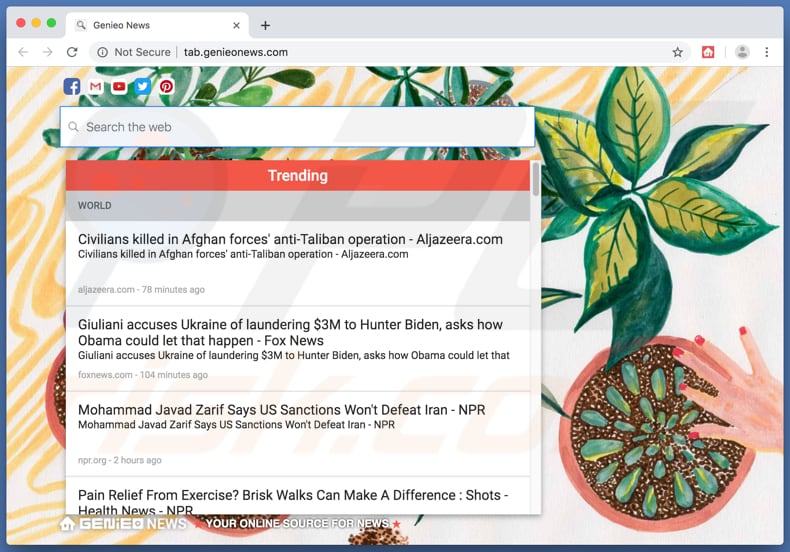 genieonews.com browser hijacker on a Mac computer
