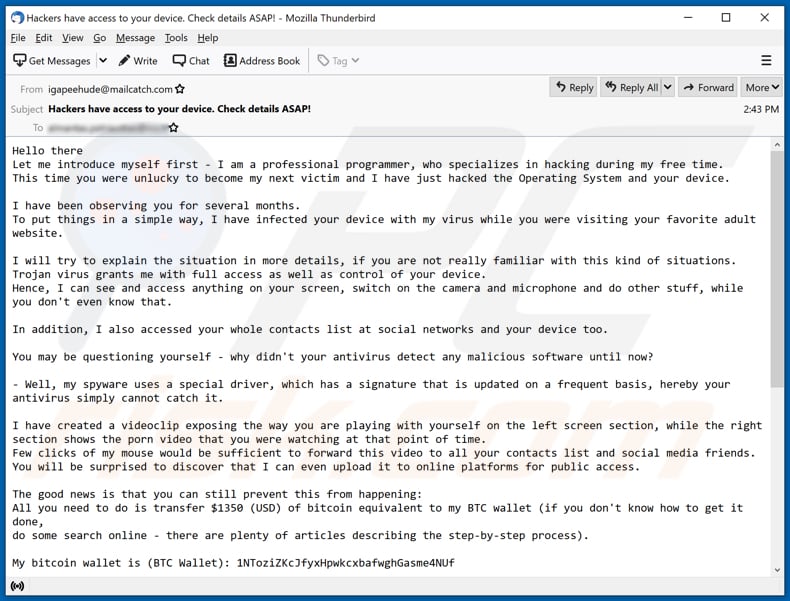 E-mail oszukańczej kampanii spamowej I am a professional programmer who specializes in hacking