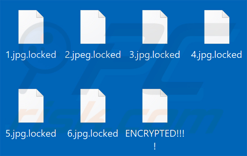 Pliki zaszyfrowane przez ransomware Chaos (rozszerzenie .locked)