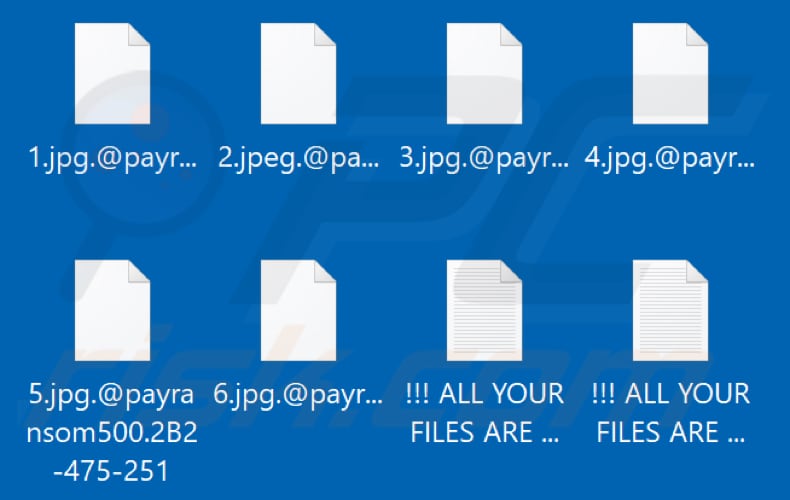 Pliki zaszyfrowane przez ransomware Payransom500 (rozszerzenie .@payransom500.[ID_ofiary])