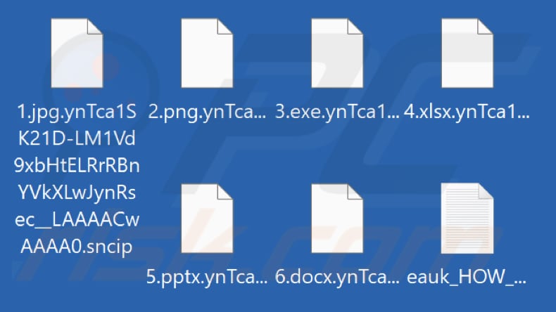 Pliki zaszyfrowane przez ransomware Sncip (rozszerzenie .sncip)