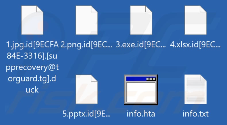 Pliki zaszyfrowane przez ransomware Duck (rozszerzenie .duck)