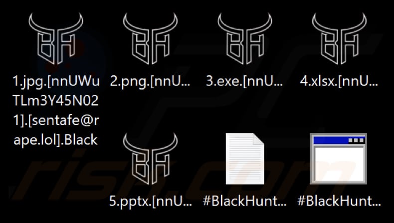 Pliki zaszyfrowane przez ransomware Black Hunt (rozszerzenie .Black)