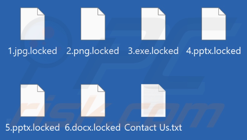 Pliki zaszyfrowane przez ransomware Hunters International (rozszerzenia .locked)