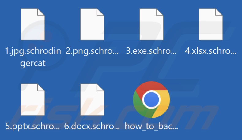 Pliki zaszyfrowane przez ransomware SchrodingerCat (rozszerzenie .schrodingercat)