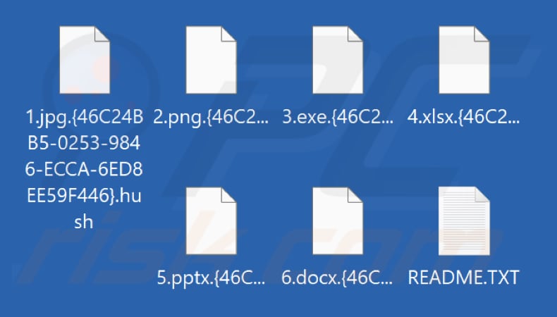 Pliki zaszyfrowane przez ransomware Hush (rozszerzenie .hush)