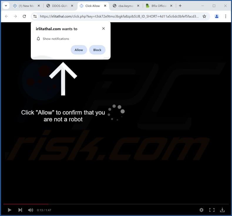 irlitathal[.]com reklamy