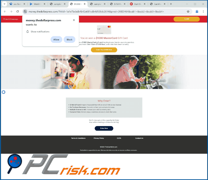 thedollarpress[.]com wygląd strony internetowej (GIF)