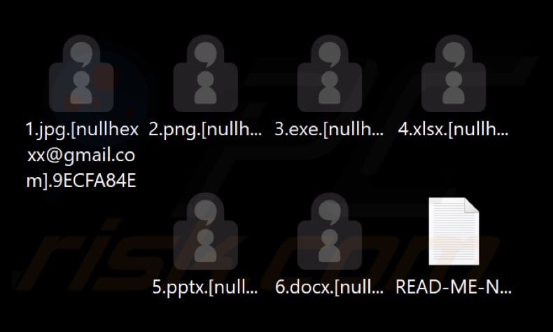 Pliki zaszyfrowane przez ransomware Nullhexxx (identyfikator ofiary jako rozszerzenie)
