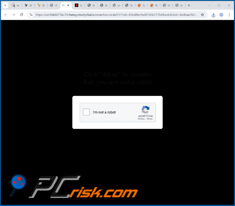 steadychainconnection.co[.]in wygląd strony internetowej (GIF)