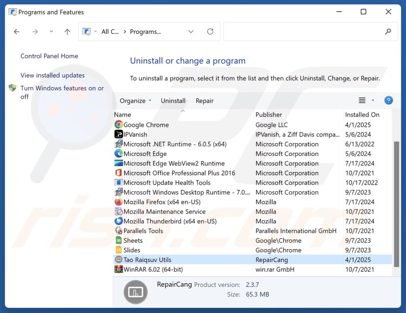 Tao Raiqsuv Utils odinstalowanie via Control Panel