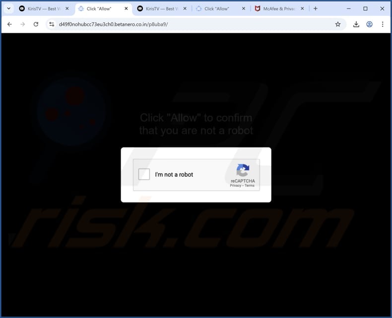 betanero.co[.]in reklamy