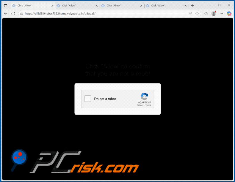 valynex.co[.]in website wygląd (GIF)