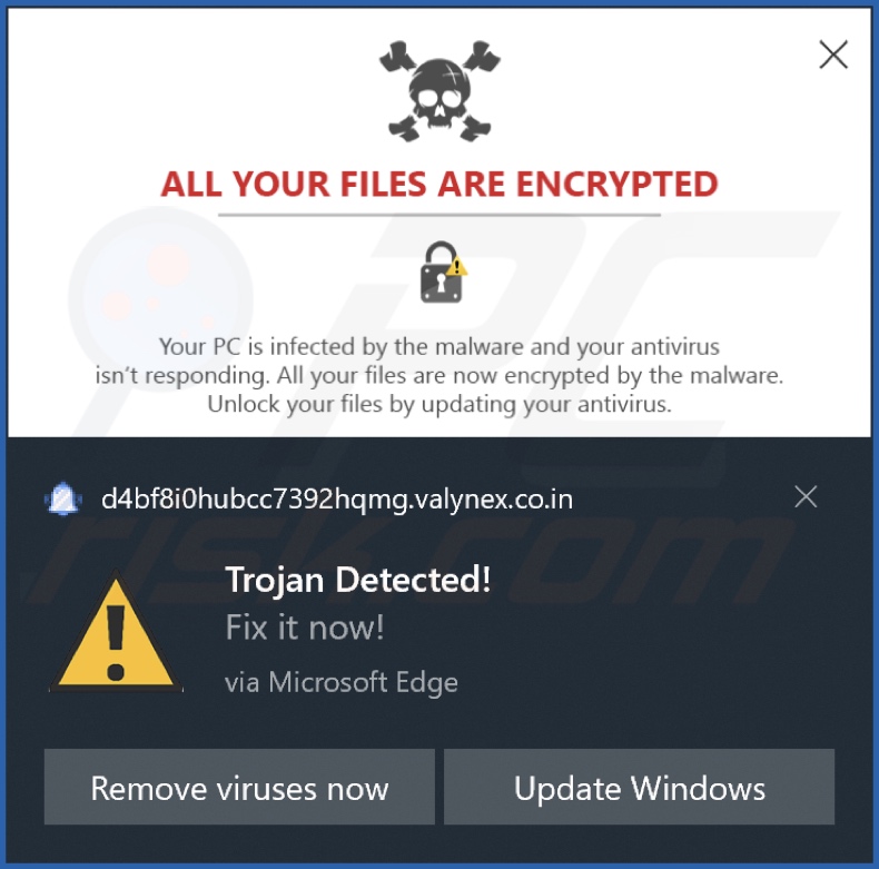 Reklama wyświetlana przez stronę internetową valynex.co[.]in