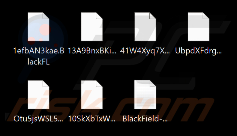 Pliki zaszyfrowane przez BlackFL (BlackField) (2026-02-11)