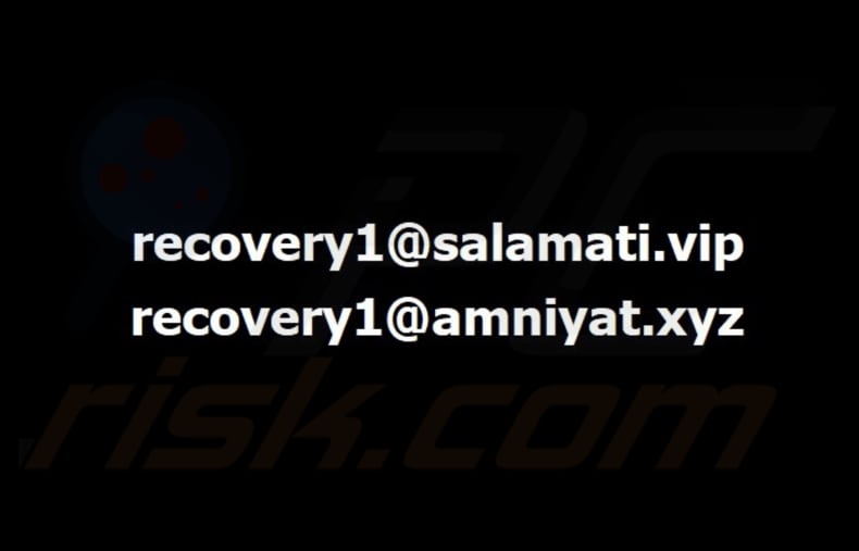 Bear ransomware tapeta