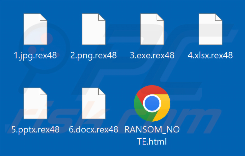 Pliki zaszyfrowane przez ransomware Rex (rozszerzenie .rex48)