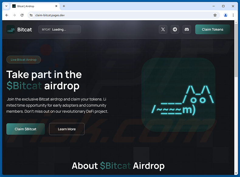 $Bitcat Airdrop oszustwo (claim-bitcat.pages[.]dev)