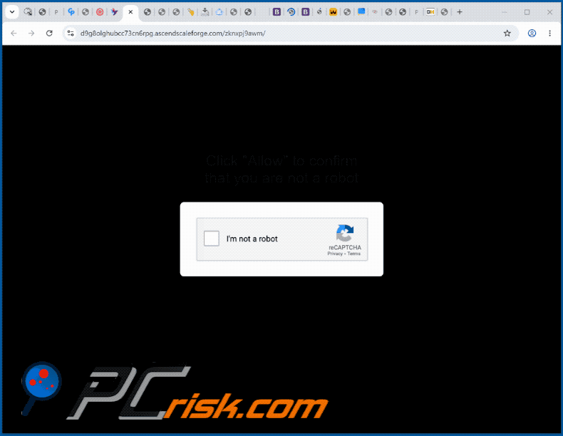 wygląd witryny ascendscaleforge[.]com (GIF)