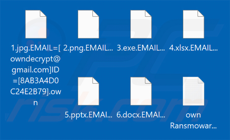Pliki zaszyfrowane przez ransomware Own Ransomware (rozszerzenie .own)