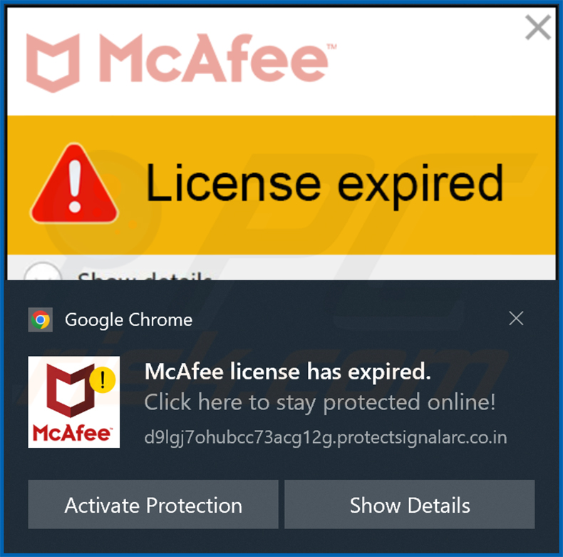 powiadomienie protectsignalarc[.]co.in