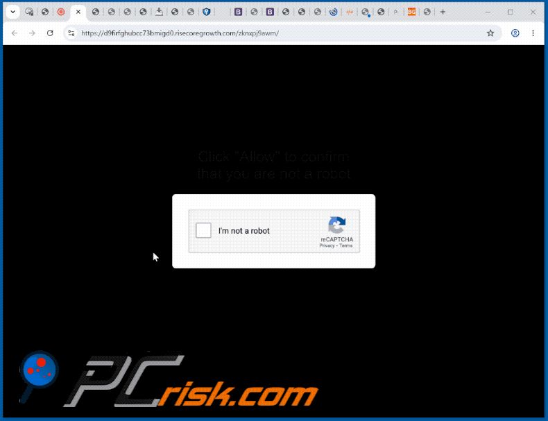 wygląd witryny risecoregrowth[.]com (GIF)