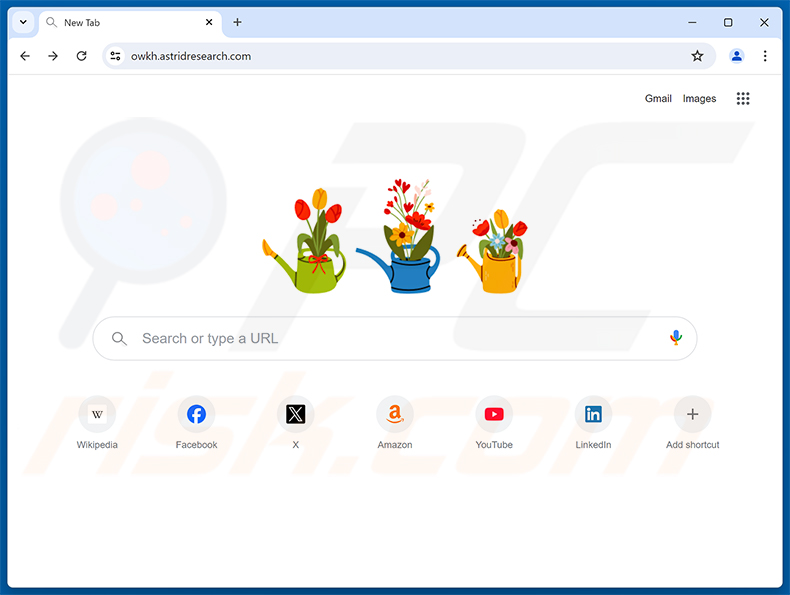 astridresearch.com porywacz przeglądarki