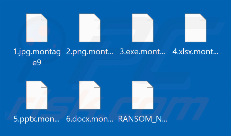 Pliki zaszyfrowane przez ransomware Montage (rozszerzenie .montage9)