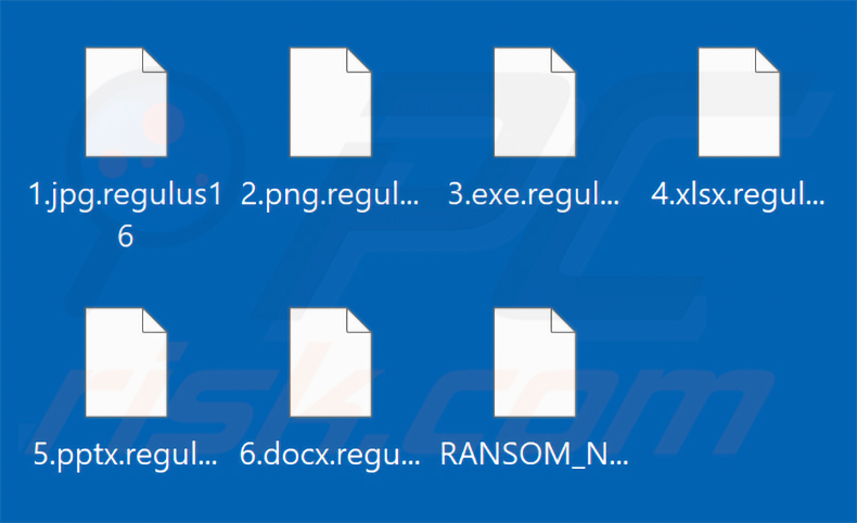 Pliki zaszyfrowane przez ransomware Regulus (rozszerzenie .regulus16)